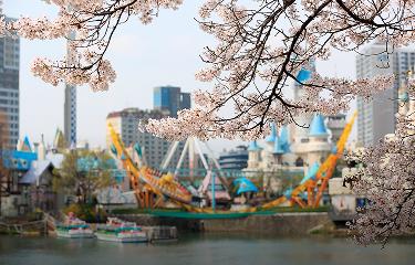 春花、秋楓景點推薦